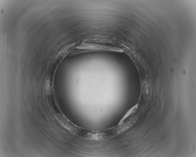 X0000085240564200703231627