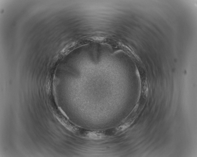 X0000085240568200703231627