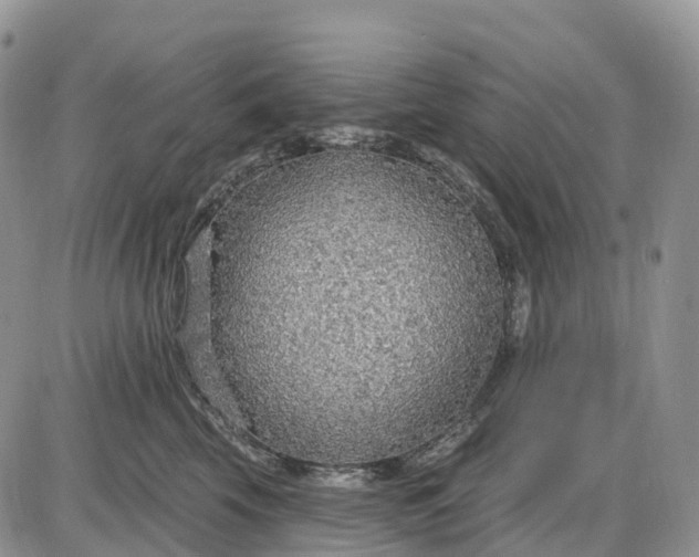 X0000085240569200703231627