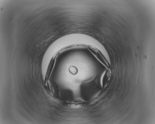 X0000085240570200703231627