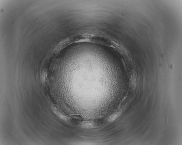 X0000085240574200703231627