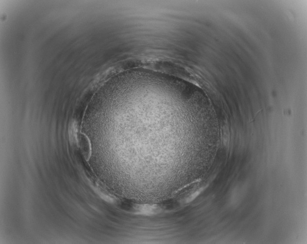 X0000085240575200703231627