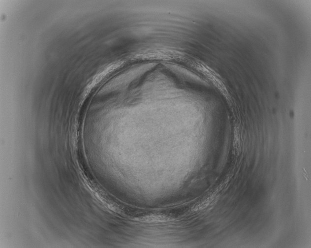 X0000085240578200703231626