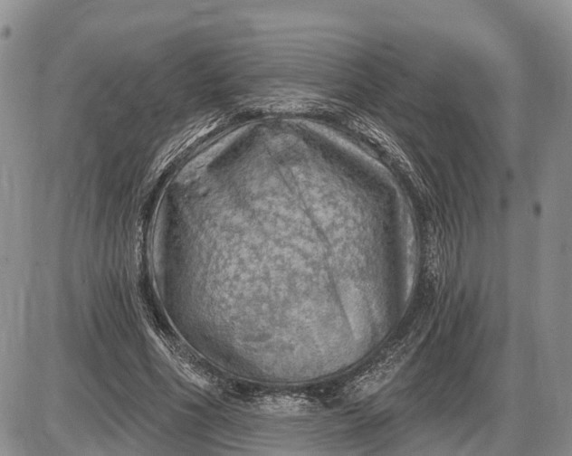X0000085240586200703231626