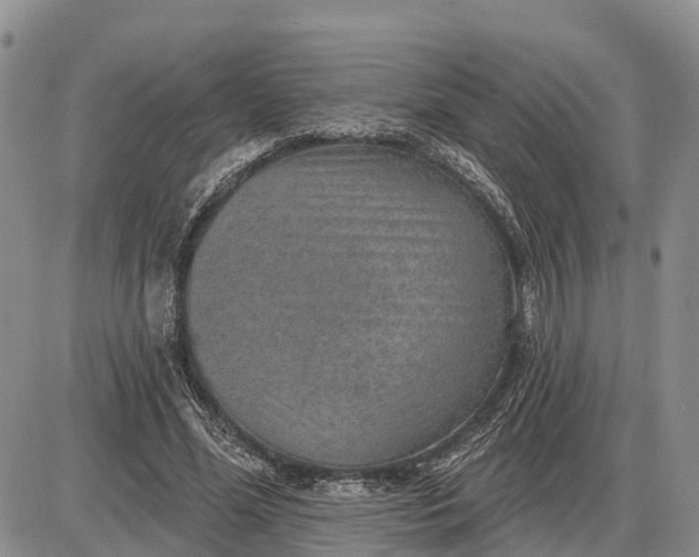 X0000085240588200703231626