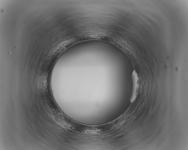 X0000085240595200703231626
