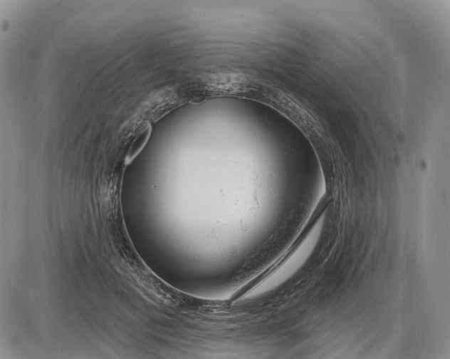 X0000085240601200703231626