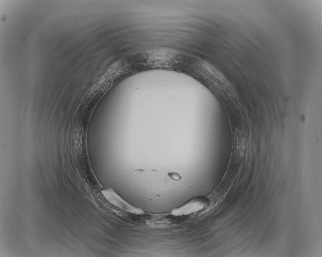 X0000085240603200703231626
