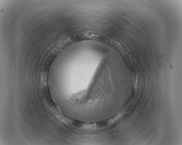 X0000085240606200703231626
