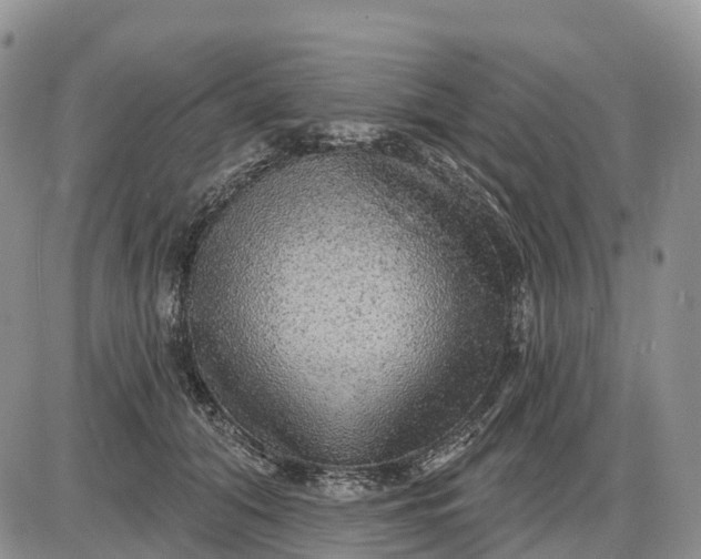 X0000085240608200703231626