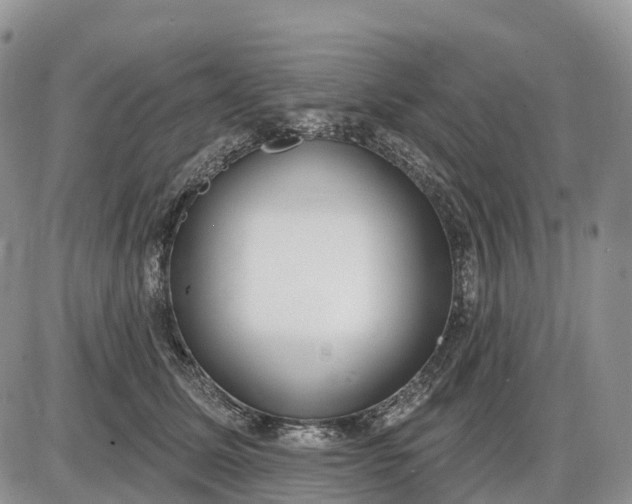 X0000085240611200703231626