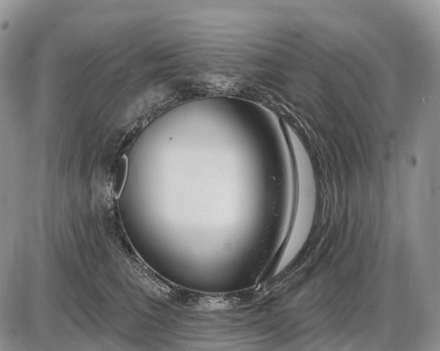 X0000085240613200703231626