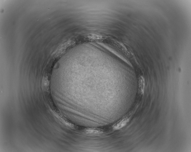 X0000085240614200703231626