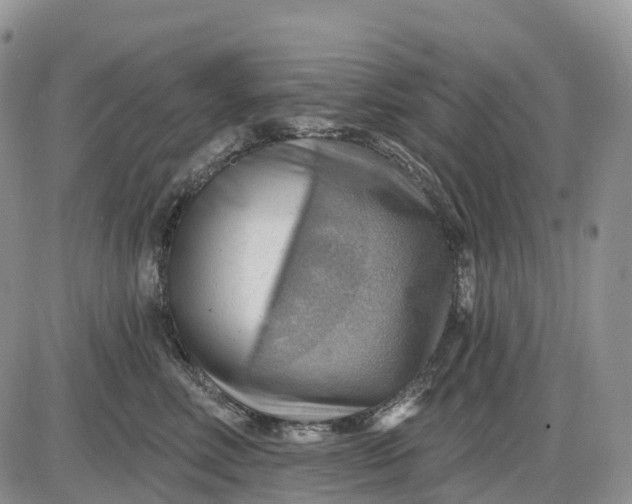 X0000085240618200703231626