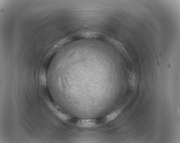 X0000085240622200703231626