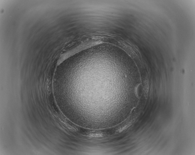 X0000085240653200703231625