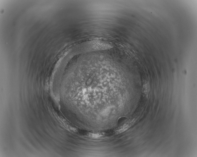 X0000085240662200703231625