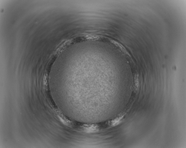 X0000085240667200703231626