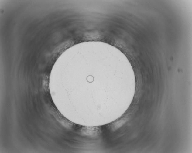 X0000085240672200703231626