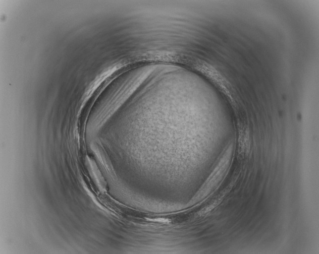 X0000085240674200703231625