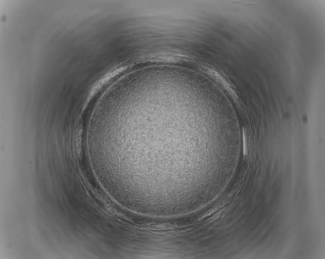 X0000085240675200703231625