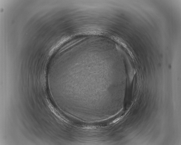 X0000085240677200703231625