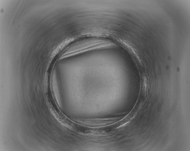 X0000085240678200703231625