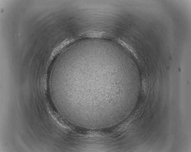 X0000085240682200703231625
