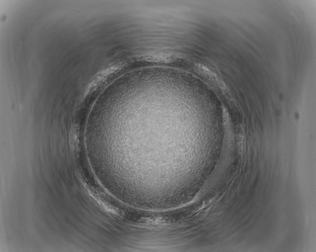 X0000085240688200703231625