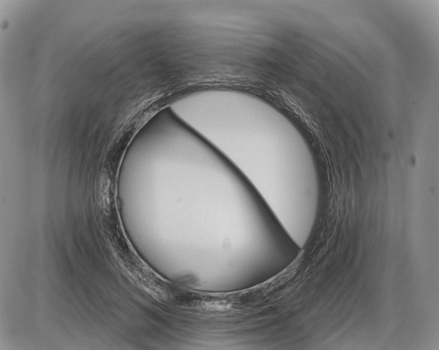 X0000085240692200703231624