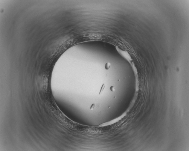 X0000085240697200703231624