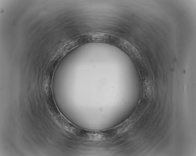 X0000085240698200703231624