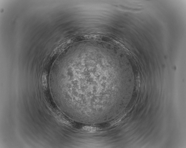 X0000085240699200703231624