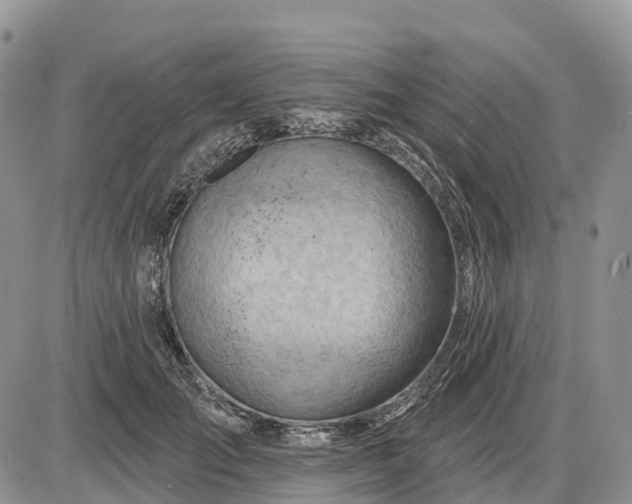 X0000085240701200703231624