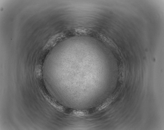 X0000085240706200703231624
