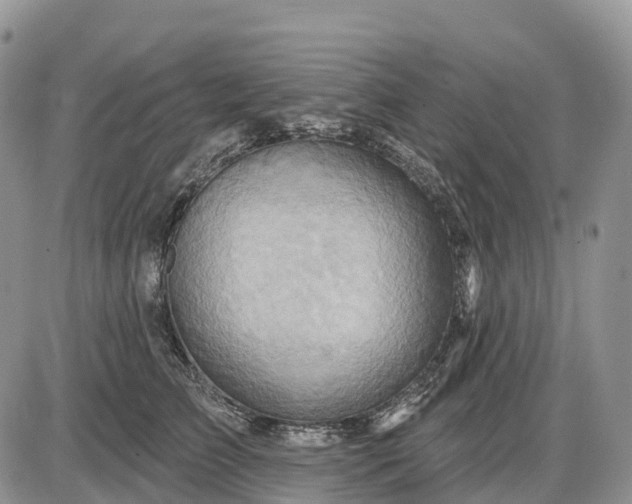 X0000085240709200703231624