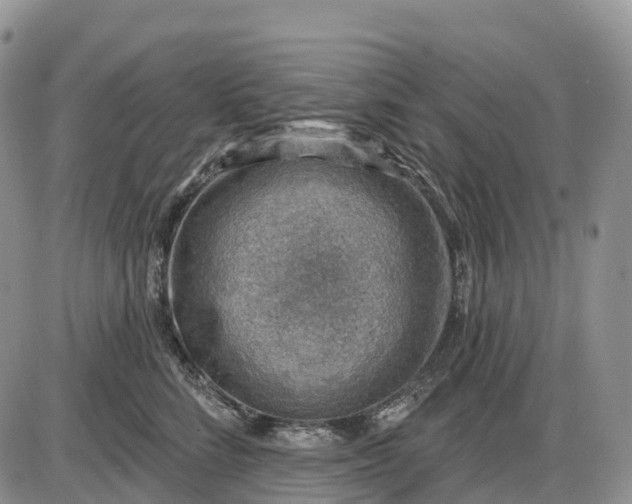 X0000085240712200703231624