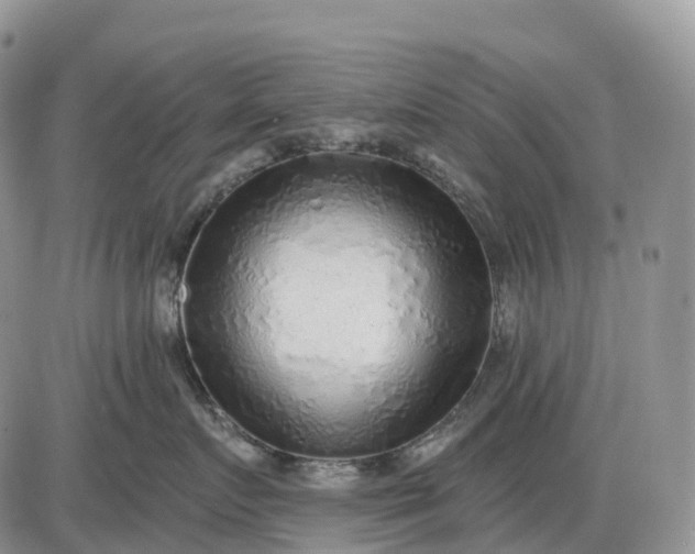 X0000085240719200703231624