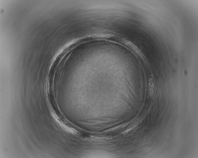 X0000085240726200703231623