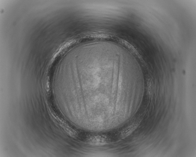 X0000085240731200703231623
