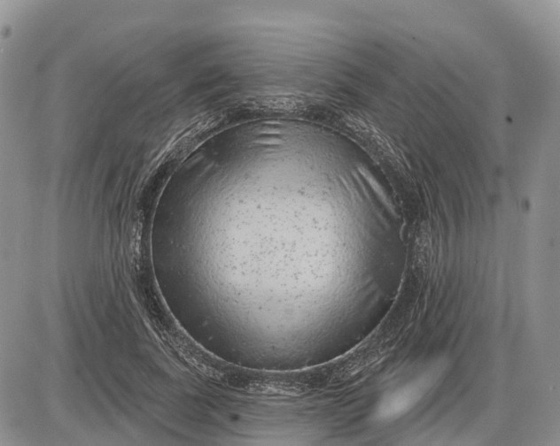 X0000085240739200703231624