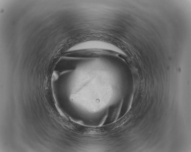 X0000085240750200703231624