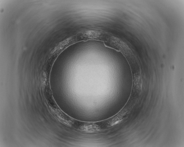 X0000085240752200703231624