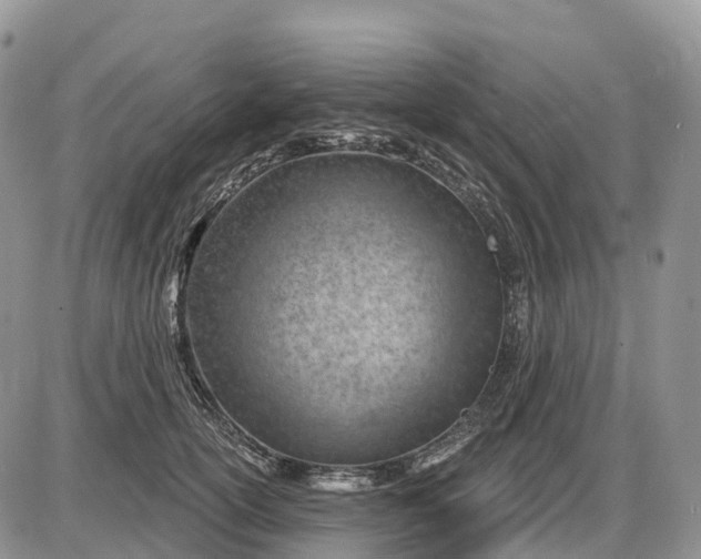 X0000085240754200703231624