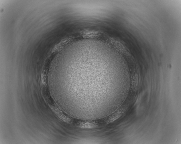 X0000085240755200703231624