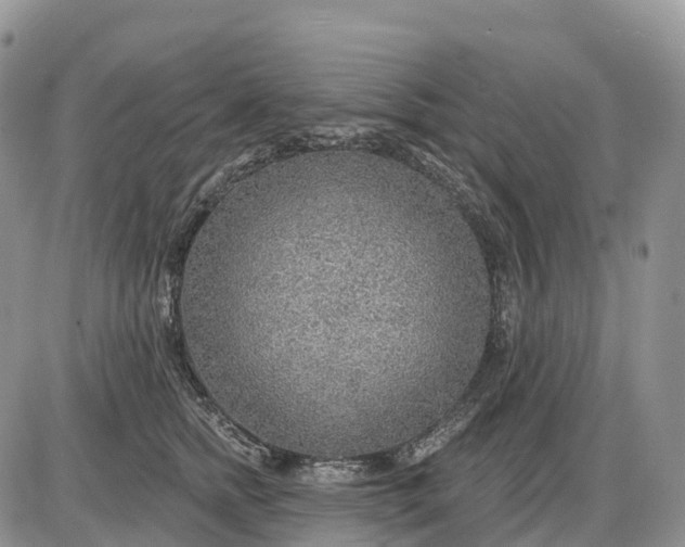 X0000085240758200703231624