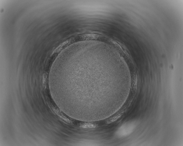 X0000085240759200703231624