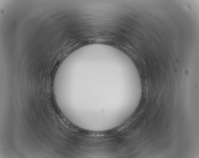 X0000085240760200703231624