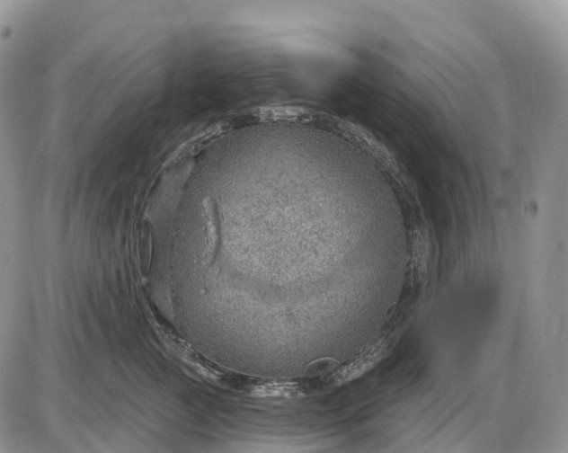X0000085240761200703231624
