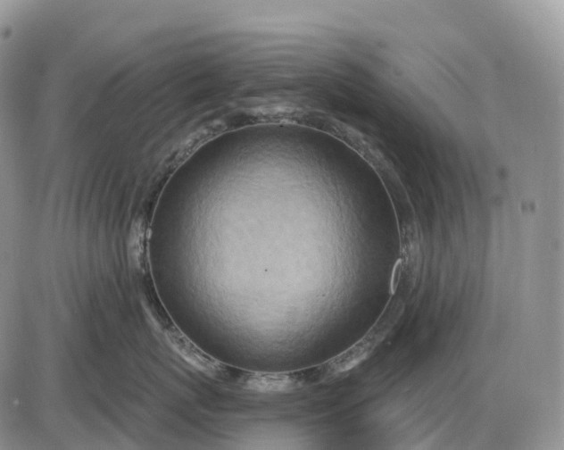 X0000085240767200703231624